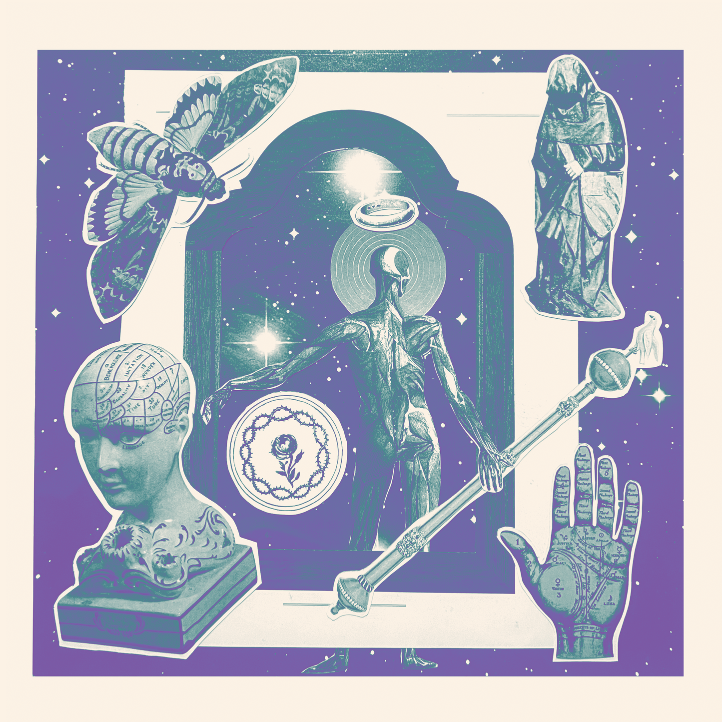 The Shape "Self Titled"