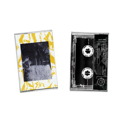 Don't Get Lemon "Forward Not Forgetting" Cassette