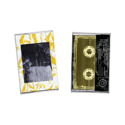 Don't Get Lemon "Forward Not Forgetting" Cassette