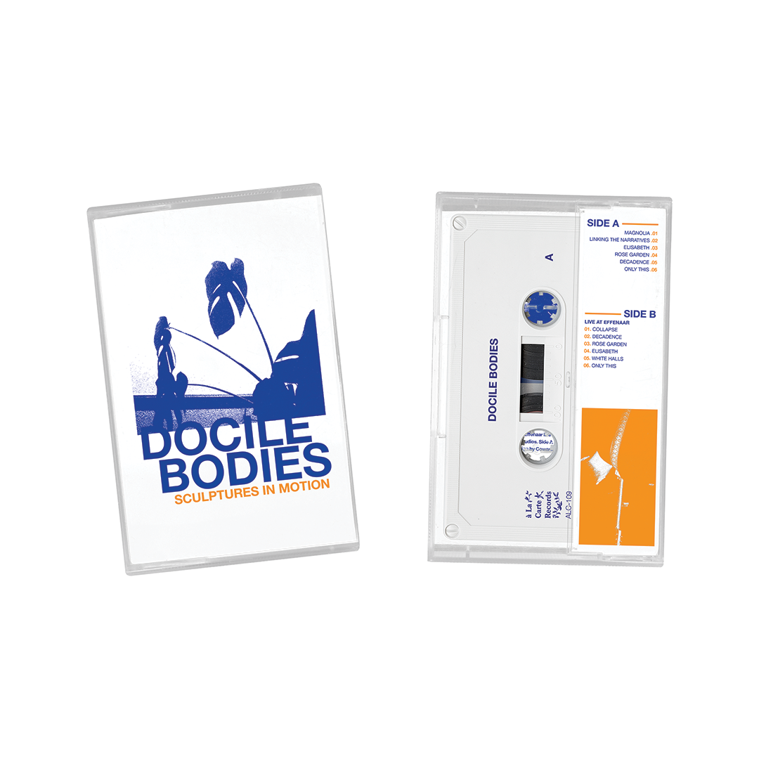 Docile Bodies