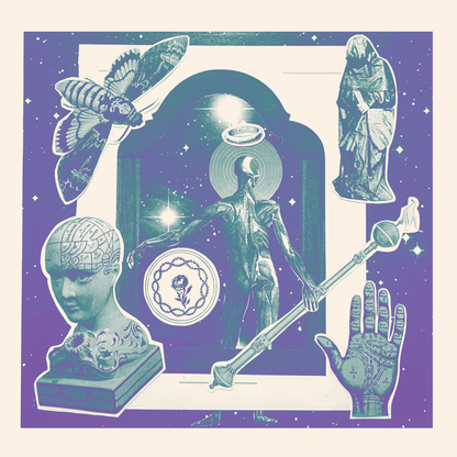 The Shape "Self Titled"