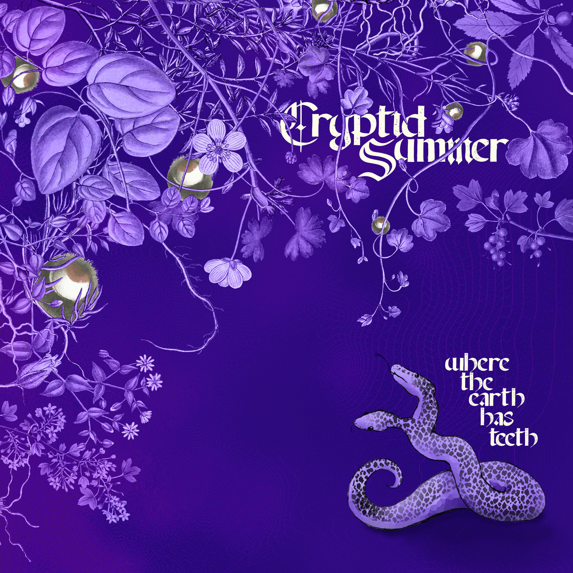 Cryptid Summer "Where The Earth Has Teeth"