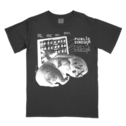 Public Circuit “Lamb” Shirt